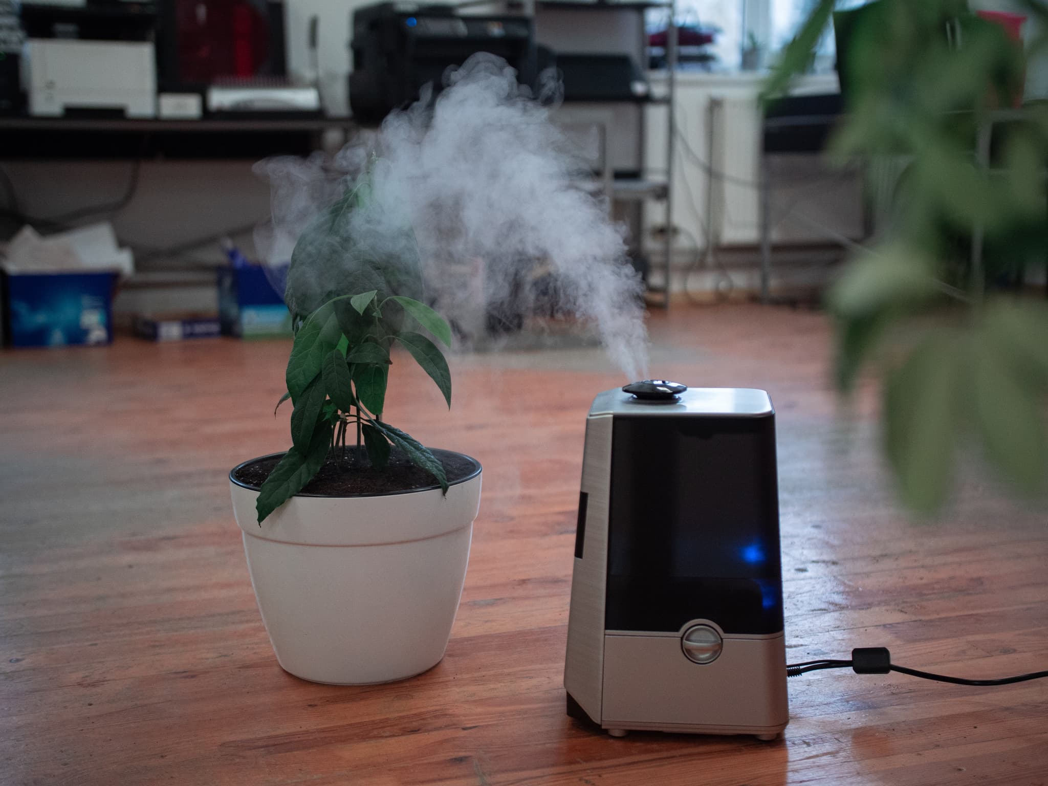 Odor Removal & Air Purification